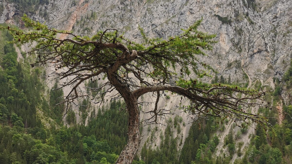 Teufelsbadstubensteig